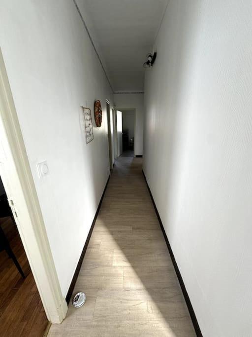 Appartement Sabatier T4 Avec Terrasse Et Jardin Carcassonne Zewnętrze zdjęcie