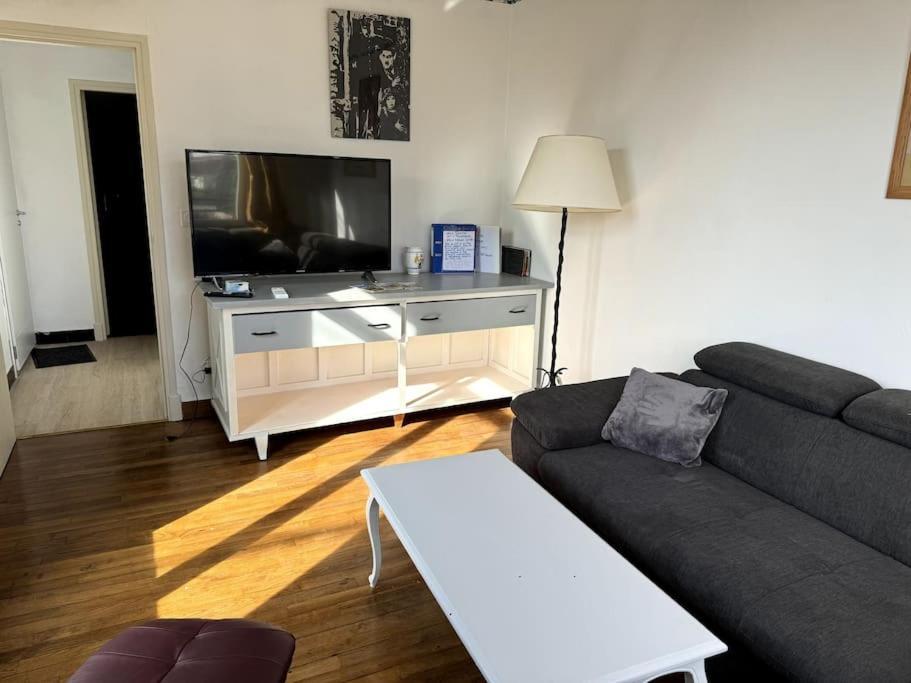 Appartement Sabatier T4 Avec Terrasse Et Jardin Carcassonne Zewnętrze zdjęcie